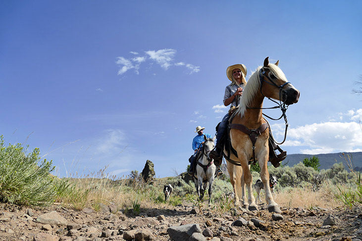 Yellowstone Horseback Riding Cody WY